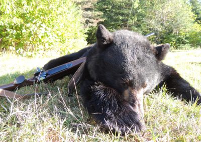 Trophy black Bear Hunting Ontario