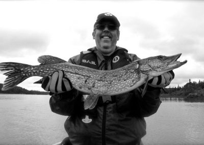 northern pike black and white
